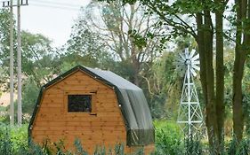 The Moat Lake Glamping Pod